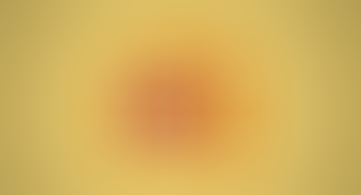 Insights ins Neuromarketing: Ein Fundament für das Online Marketing