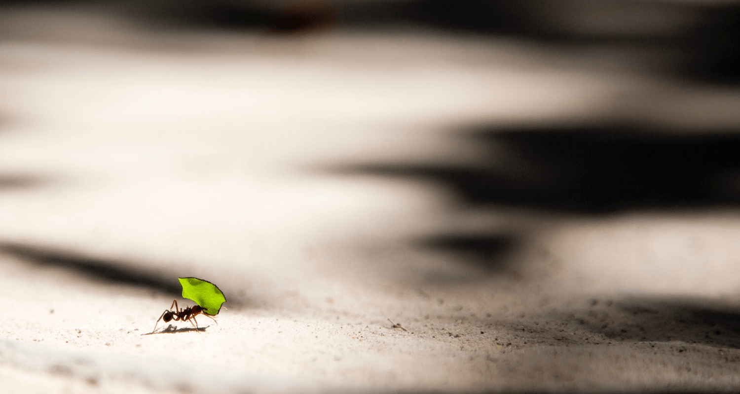 Klein, aber oho – htaccess-Datei und SEO